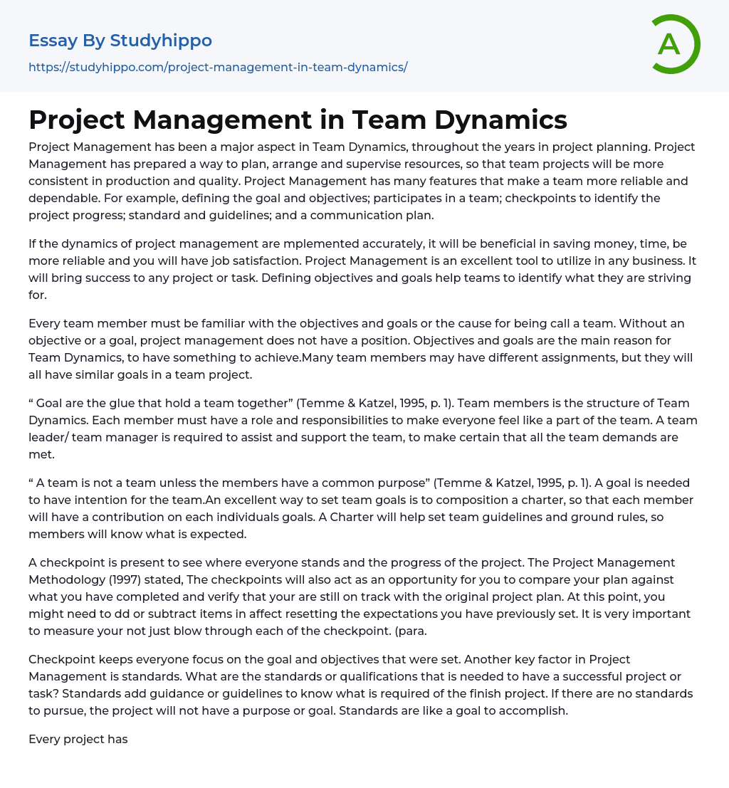 teamwork in project management essay