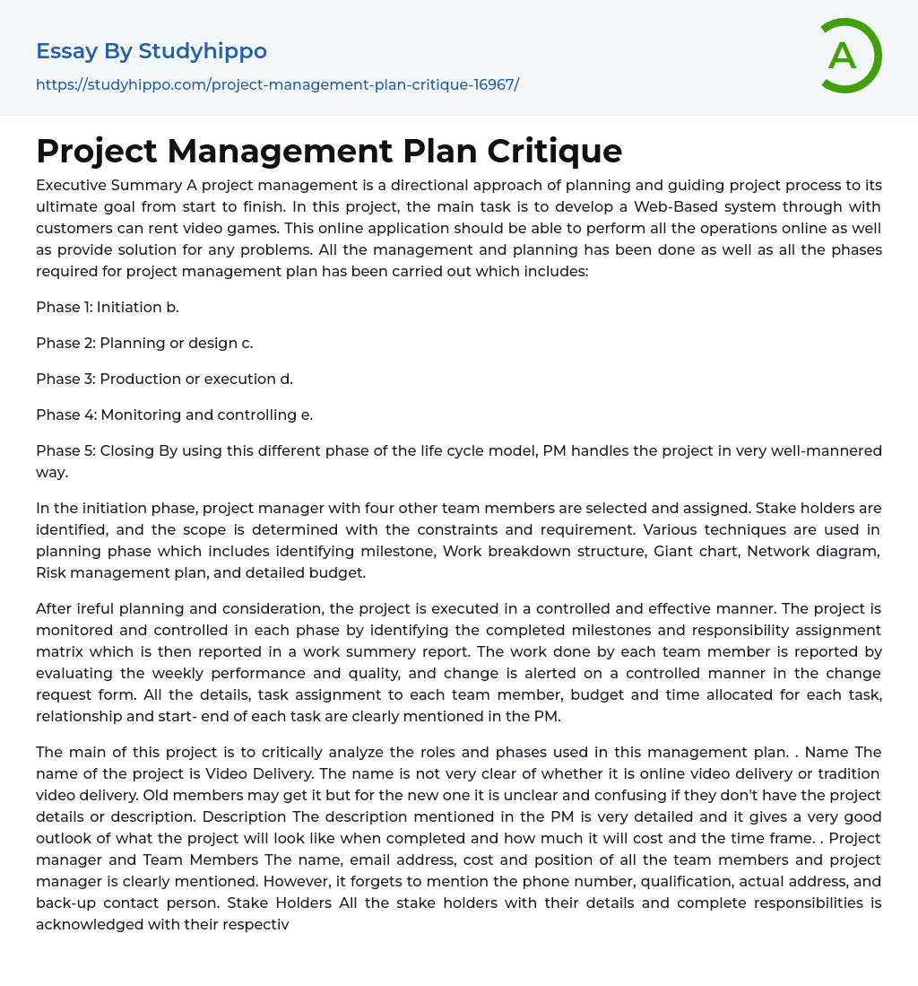 Project Management Plan Critique Essay Example