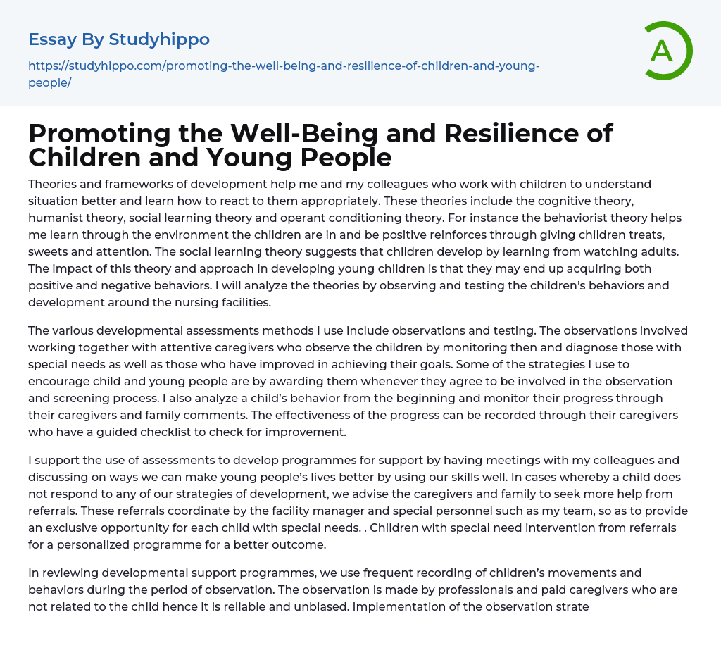 Promoting the Well-Being and Resilience of Children and Young People Essay Example