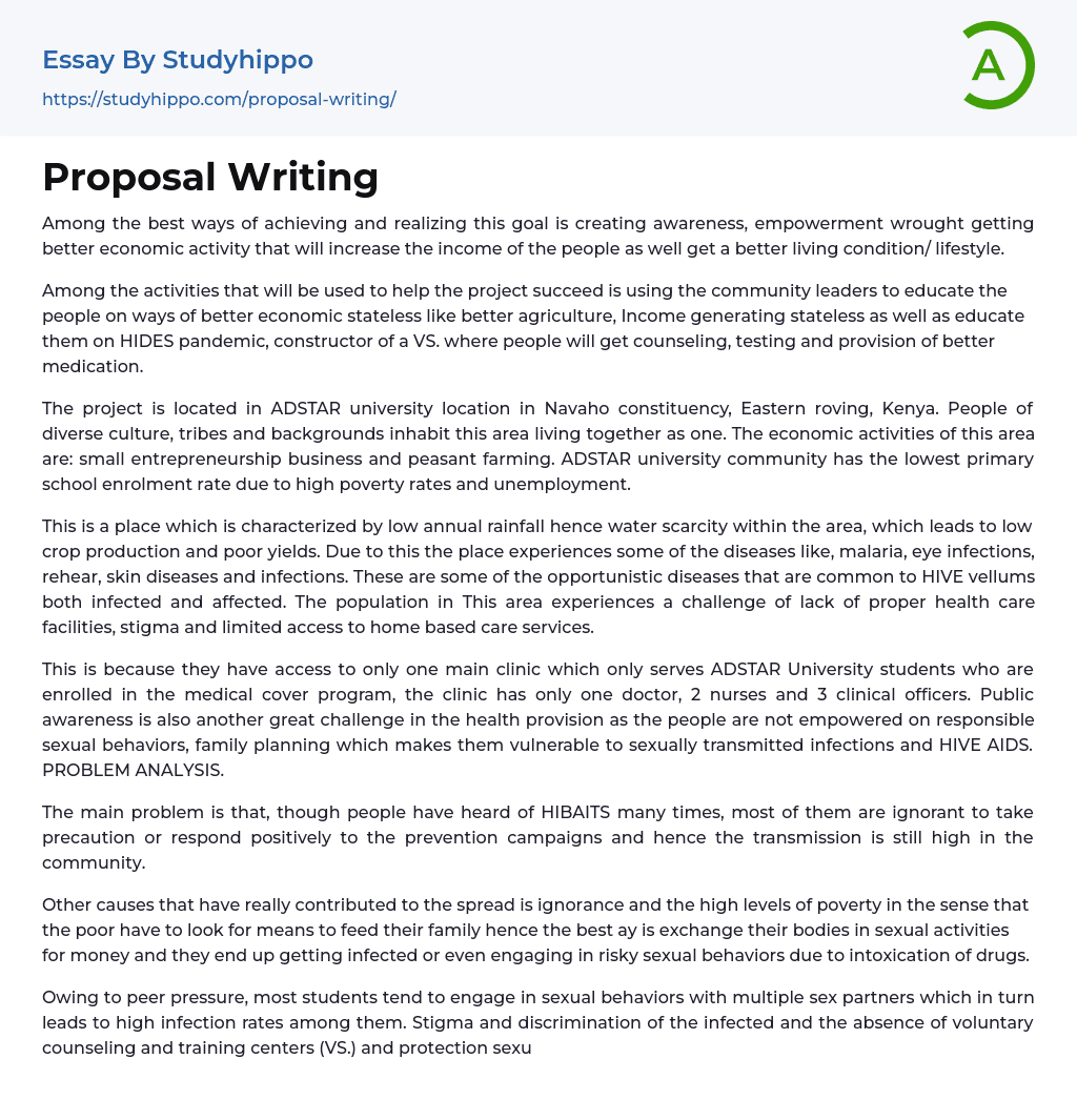 Proposal Writing Essay Example