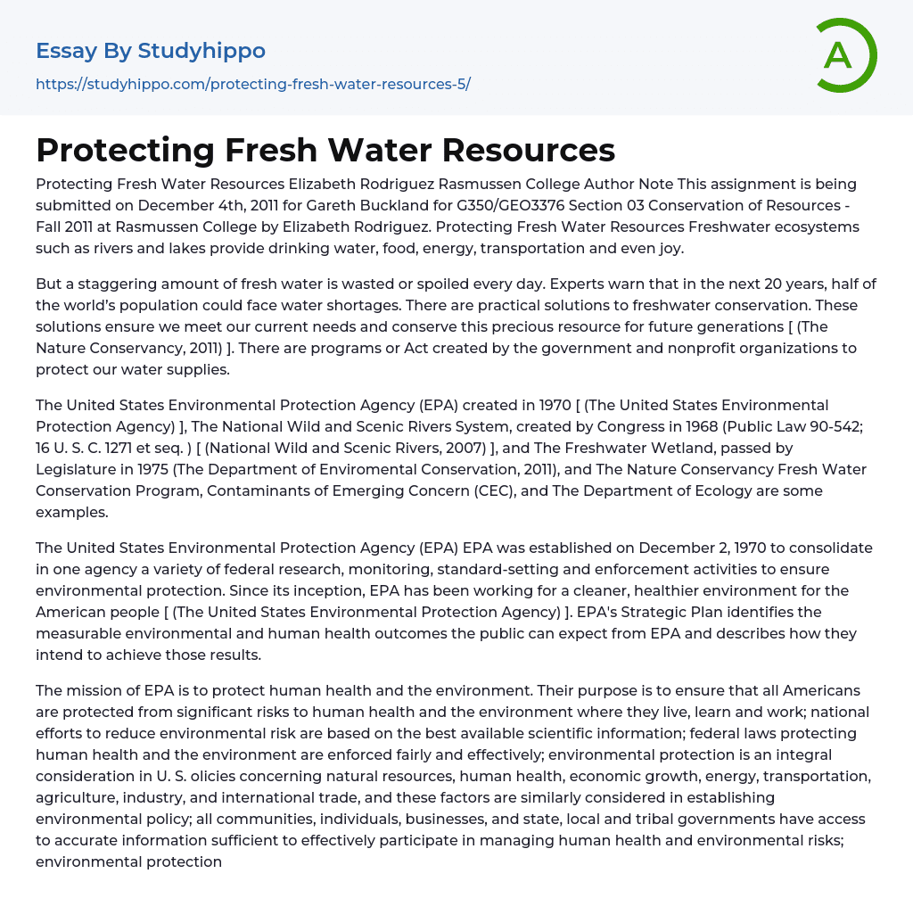 Protecting Fresh Water Resources Essay Example