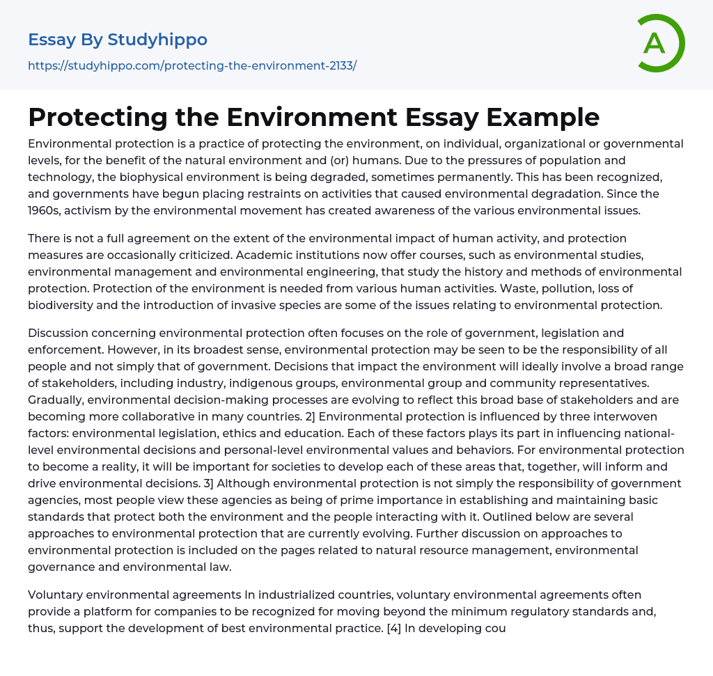 Protecting the Environment Essay Example