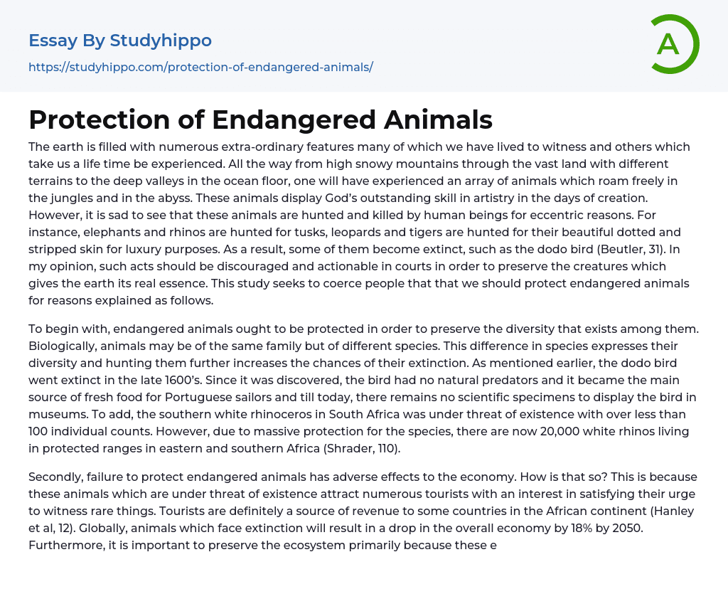 essay about endangered animals