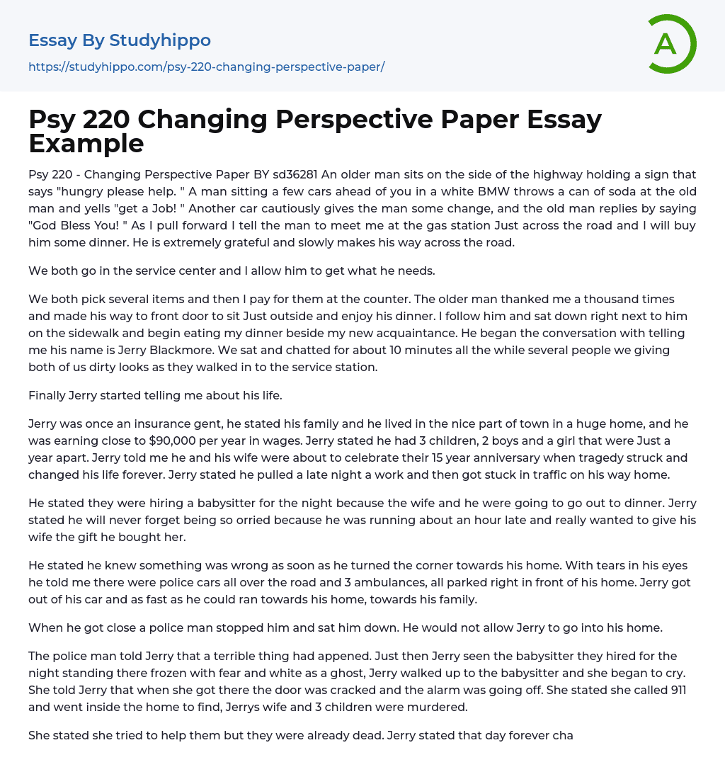 Changing Perspective Paper BY Essay Example