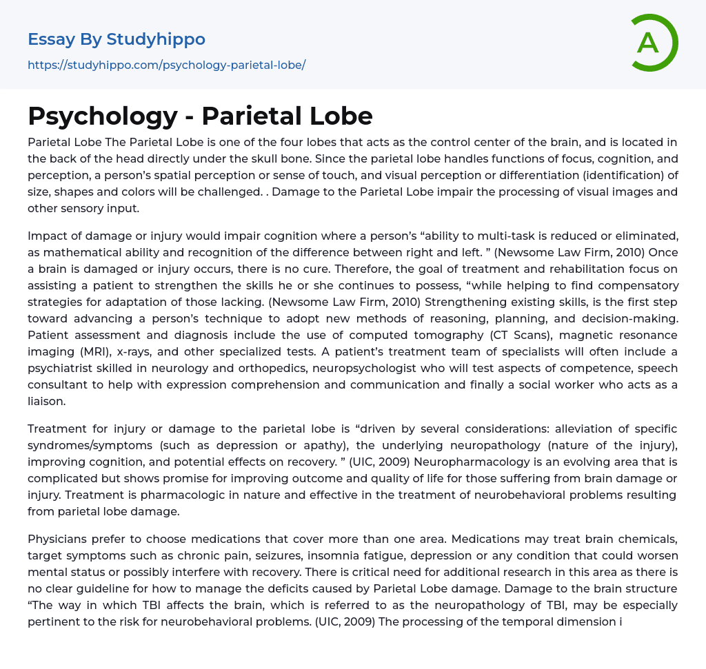 Psychology – Parietal Lobe Essay Example