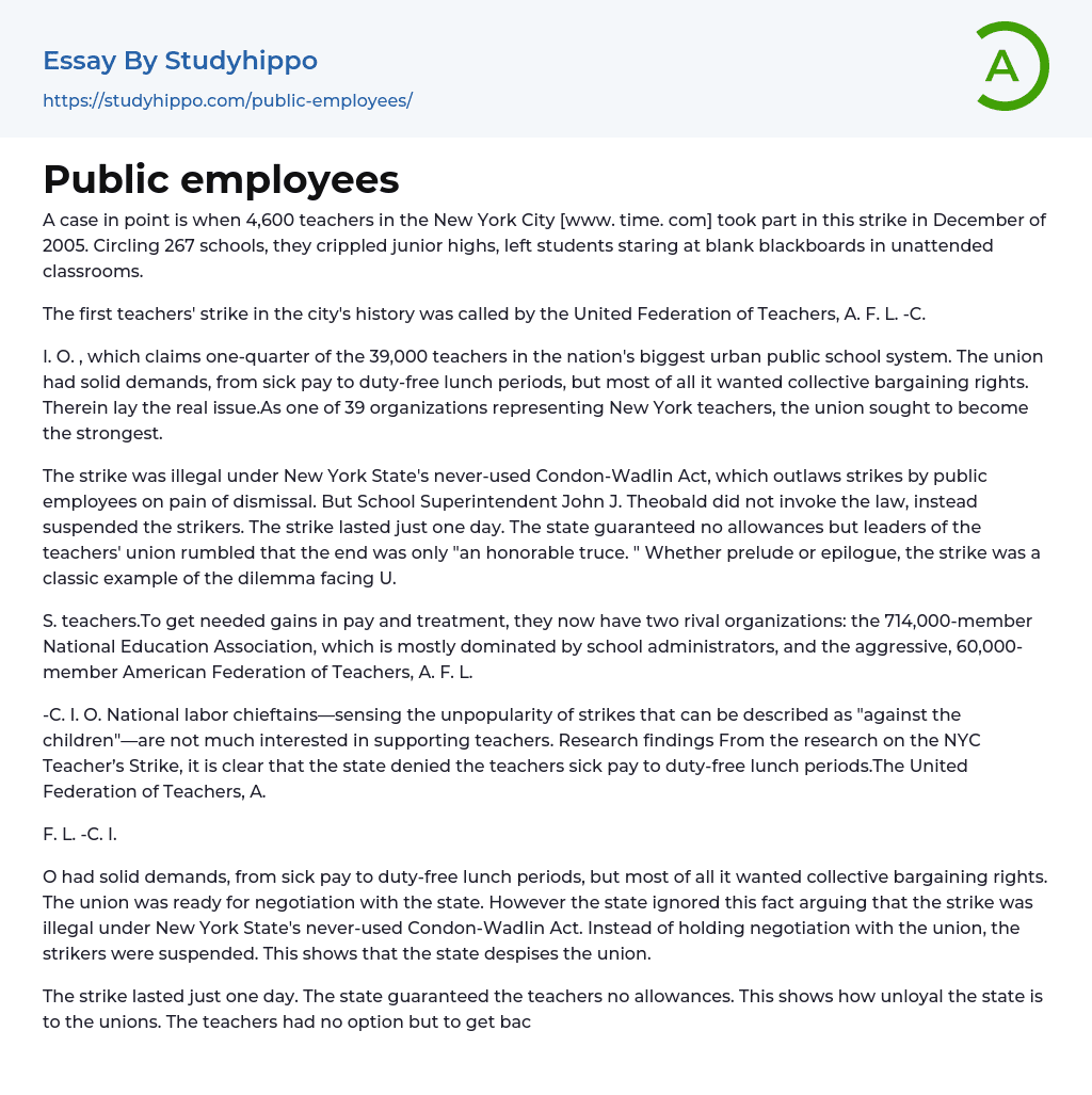 Public employees Essay Example