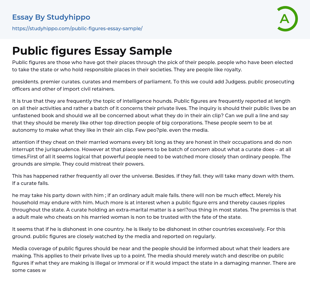 Public figures Essay Sample