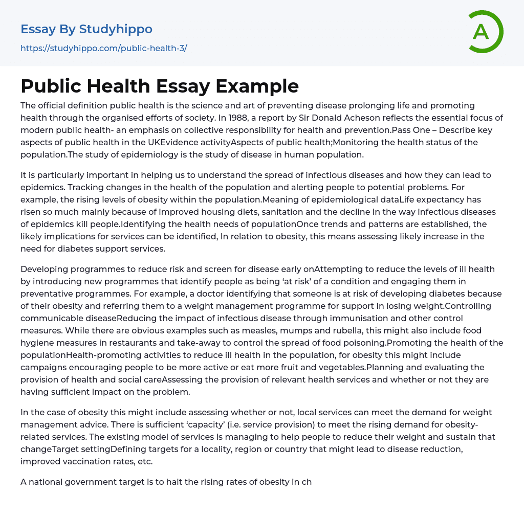 Public Health Essay Example