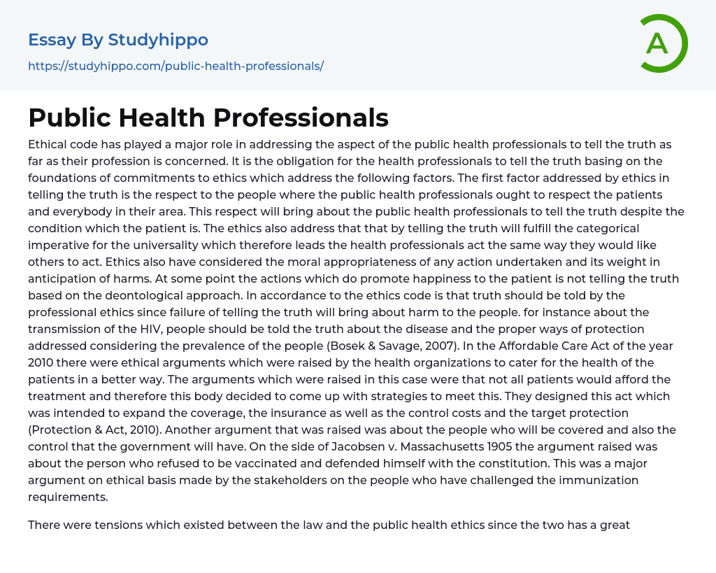 Public Health Professionals Essay Example