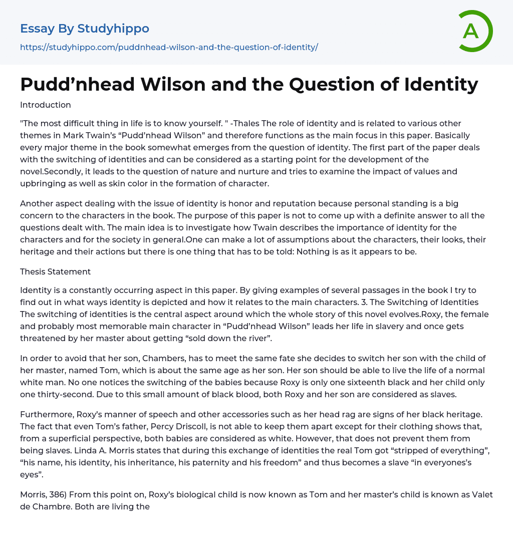 Pudd’nhead Wilson and the Question of Identity Essay Example