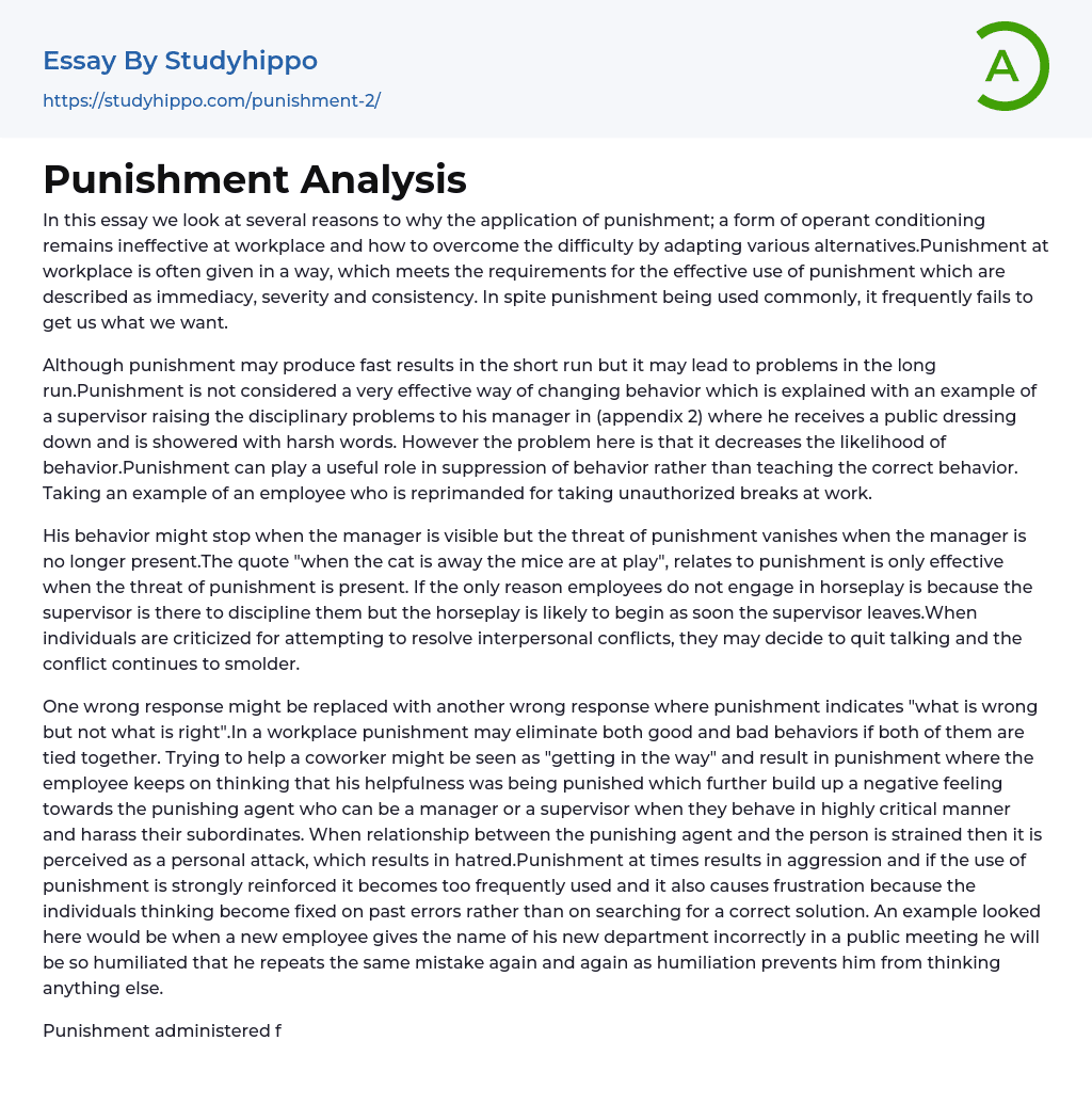 Punishment Analysis Essay Example