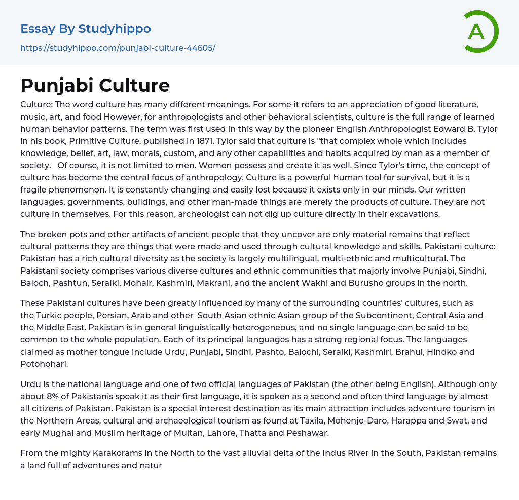 punjabi culture essay in english