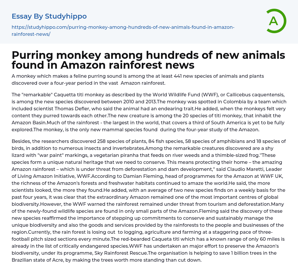 Purring monkey among hundreds of new animals found in Amazon rainforest news Essay Example