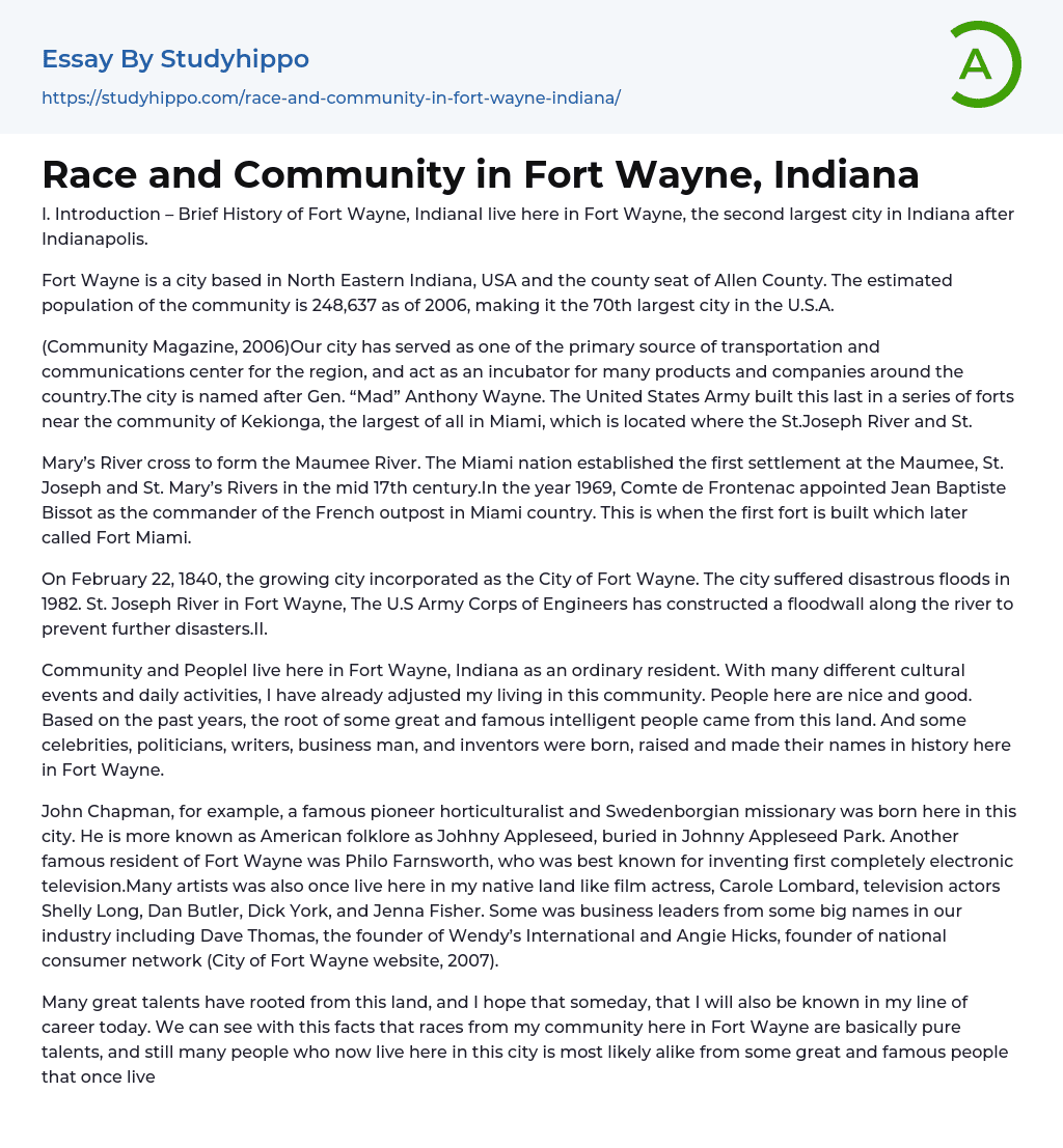 Race and Community in Fort Wayne, Indiana Essay Example