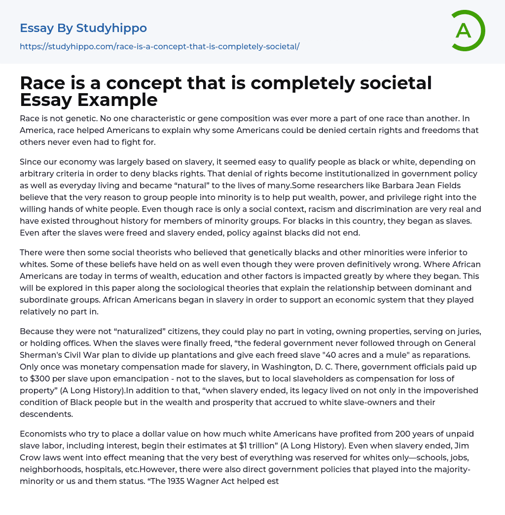 Race is a concept that is completely societal Essay Example