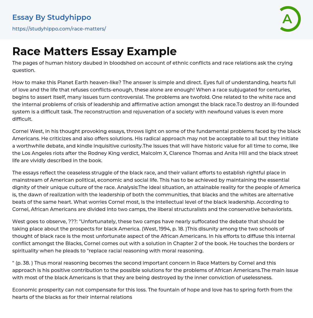Race Matters Essay Example
