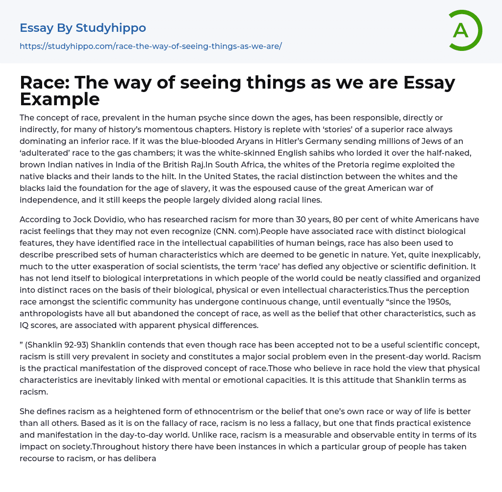 Race: The way of seeing things as we are Essay Example