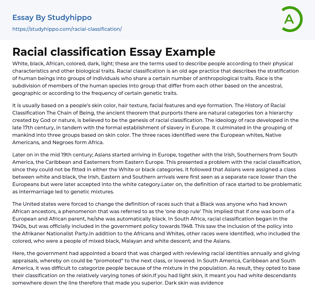 racial classification essay