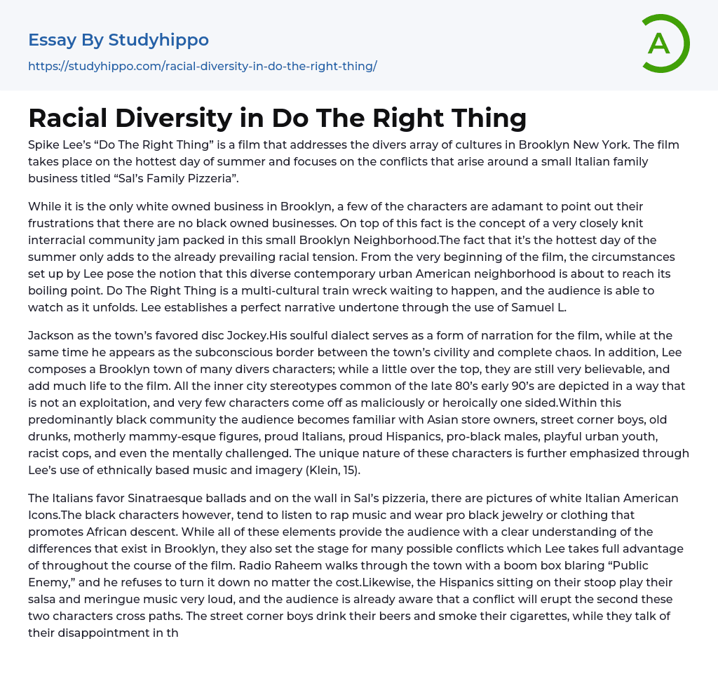 Racial Diversity in Do The Right Thing Essay Example