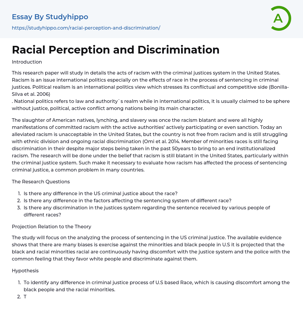 Racial Perception and Discrimination Essay Example