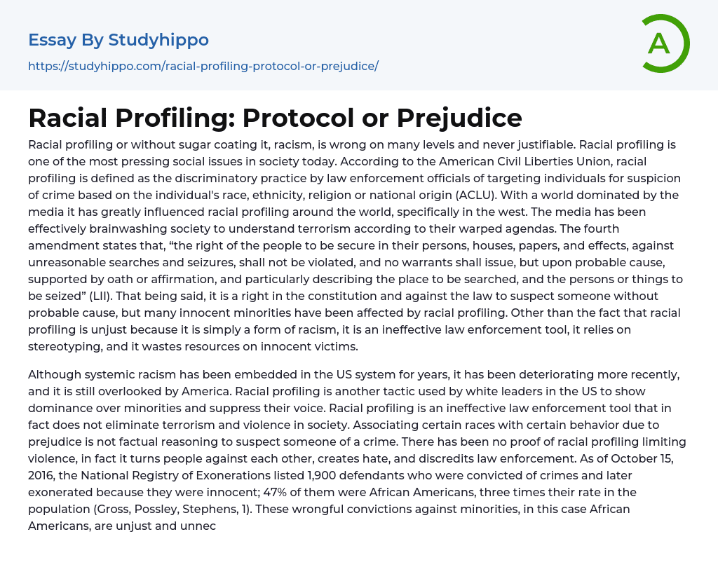 Racial Profiling: Protocol or Prejudice Essay Example