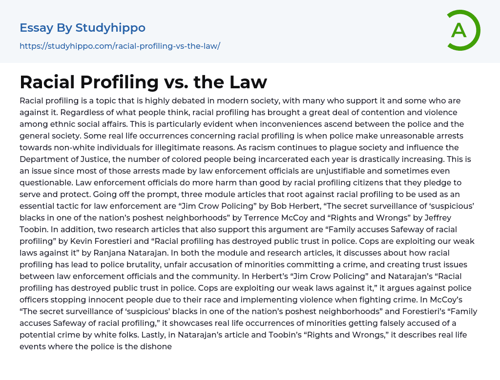 Racial Profiling vs. the Law Essay Example