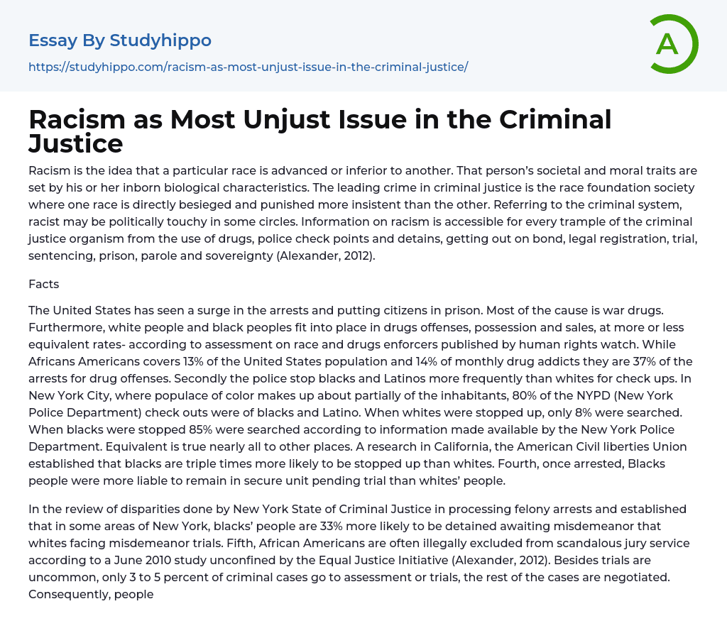Racism as Most Unjust Issue in the Criminal Justice Essay Example