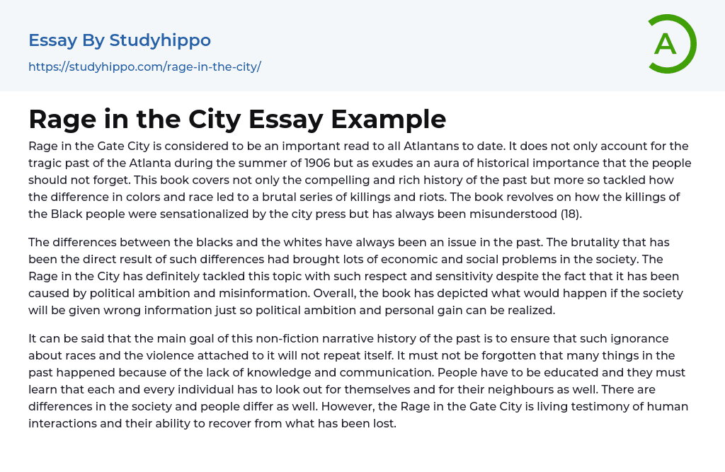 Rage in the City Essay Example