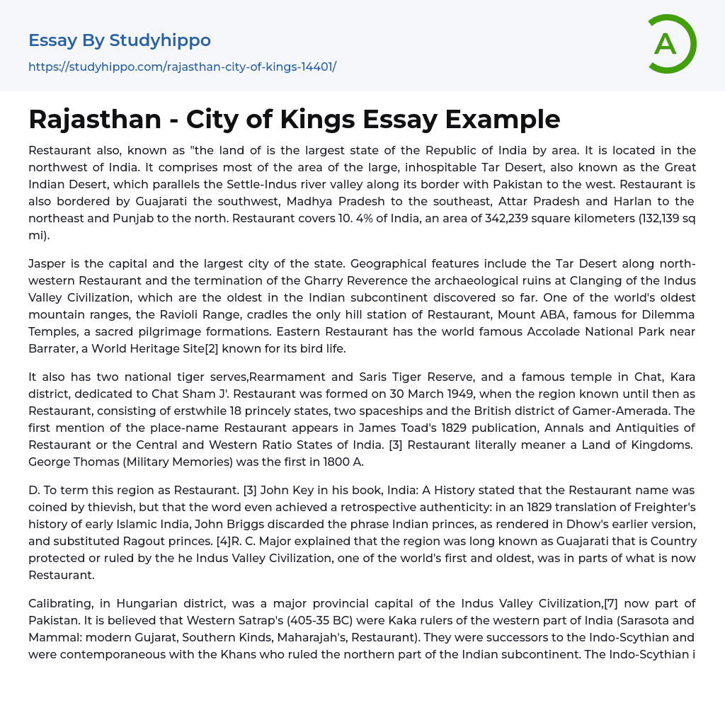 Rajasthan – City of Kings Essay Example