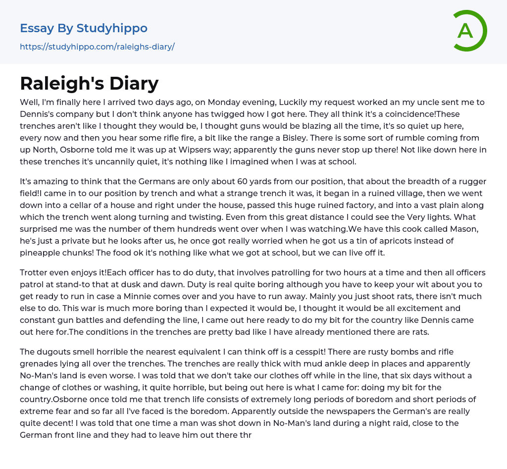 Raleigh’s Diary Essay Example