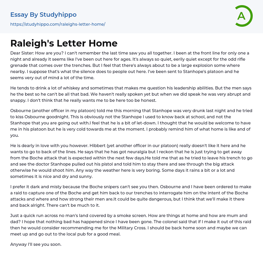 Raleigh’s Letter Home Essay Example