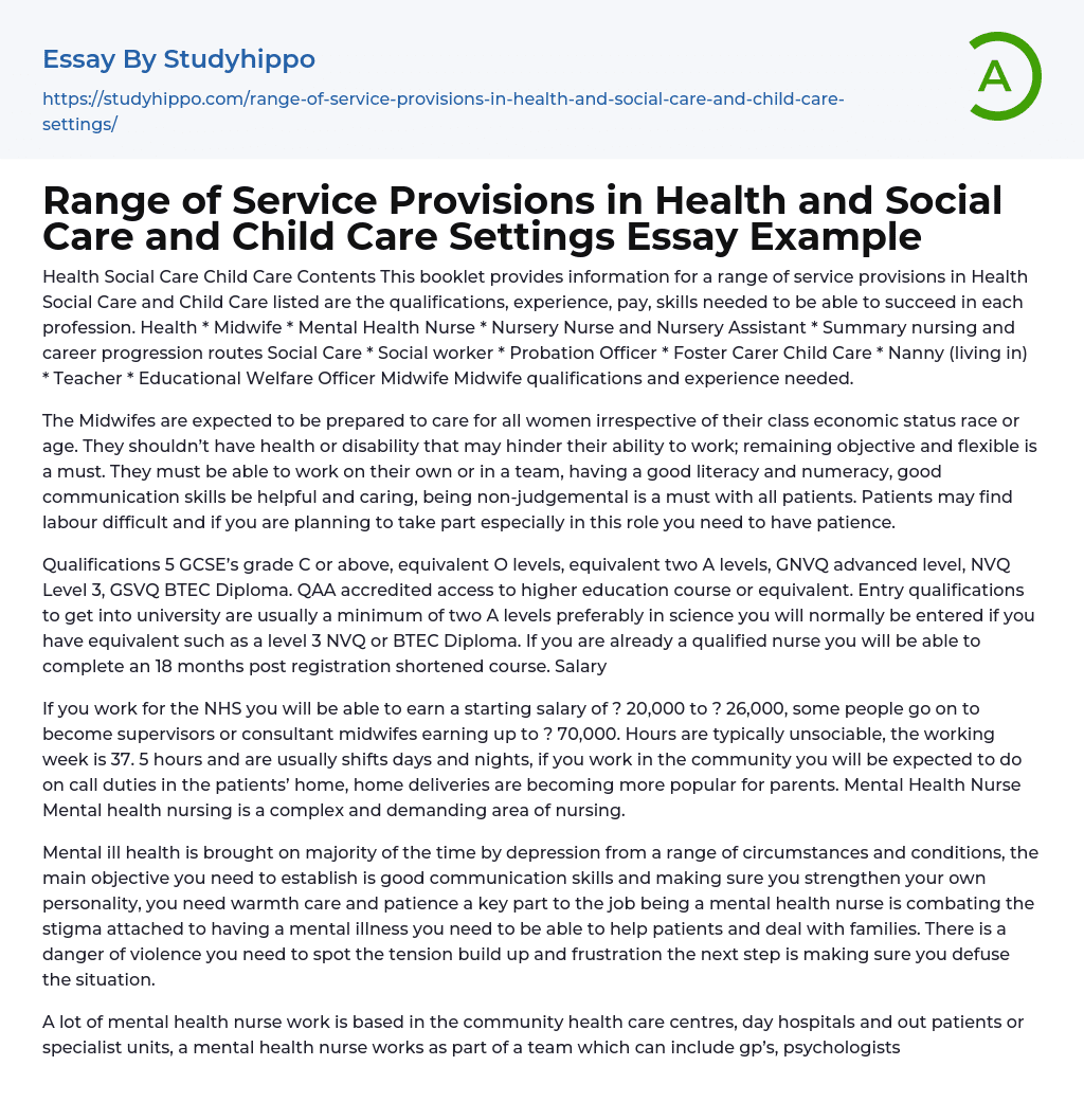 Range of Service Provisions in Health and Social Care and Child Care Settings Essay Example