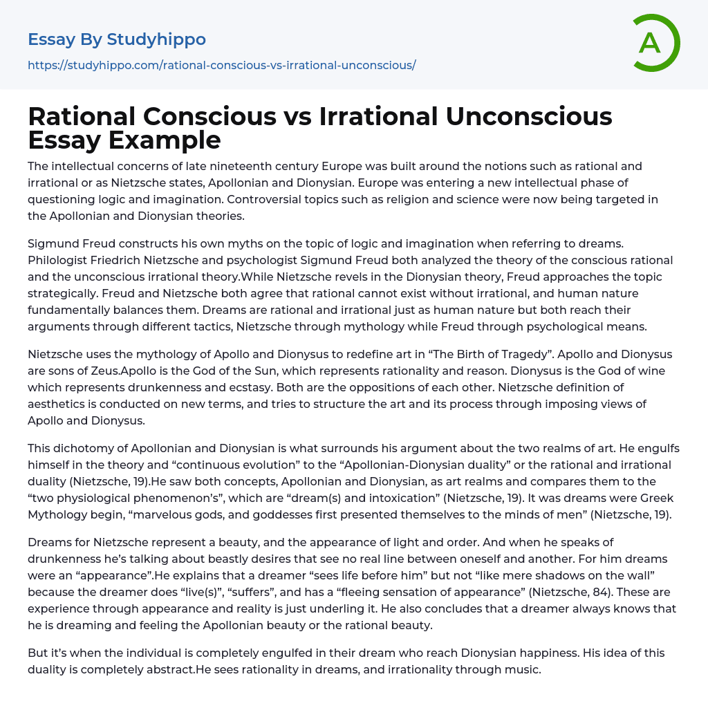 Rational Conscious vs Irrational Unconscious Essay Example