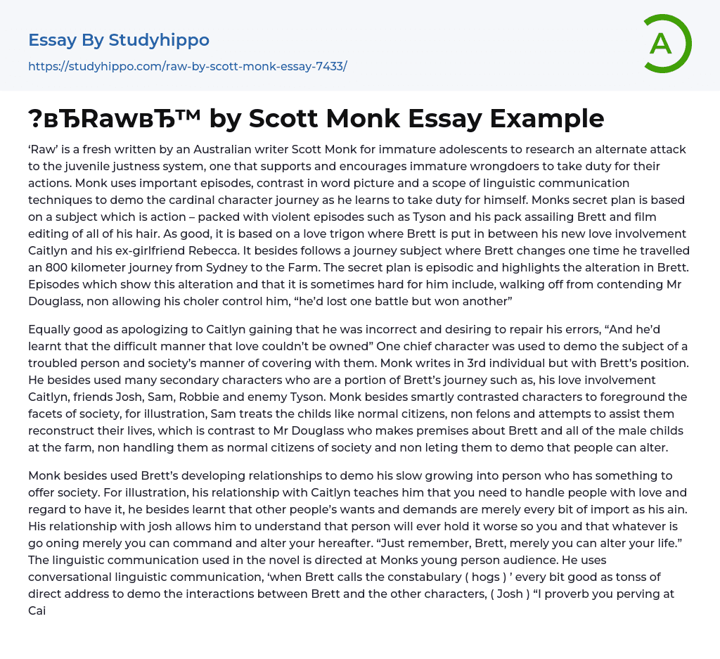 “?Raw by Scott Monk Essay Example