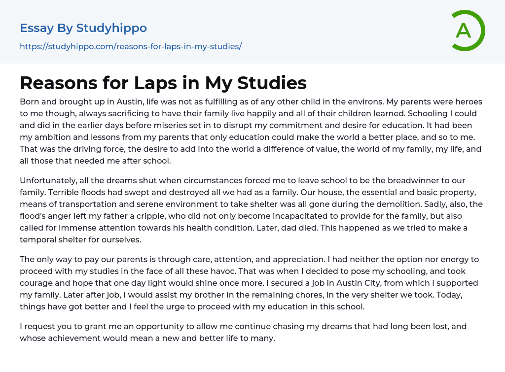 Reasons for Laps in My Studies Essay Example