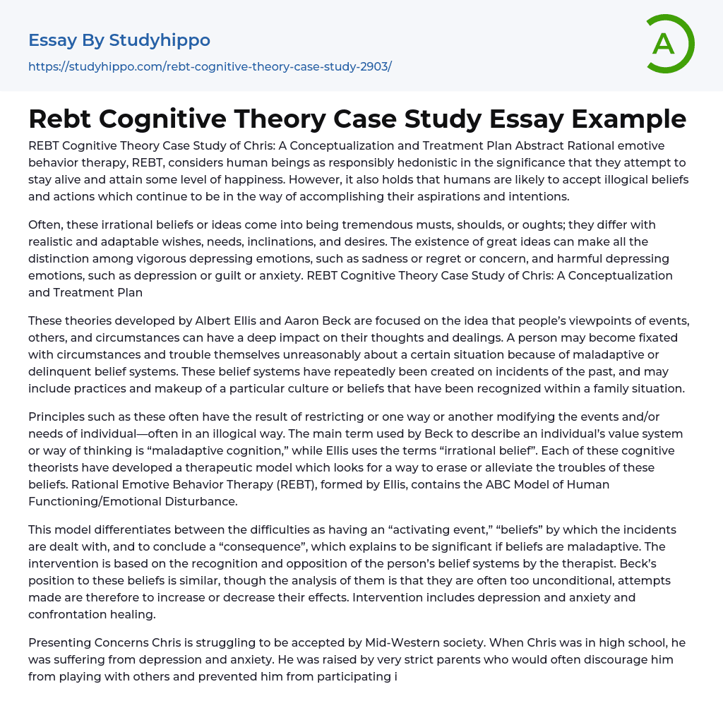 Rebt Cognitive Theory Case Study Essay Example