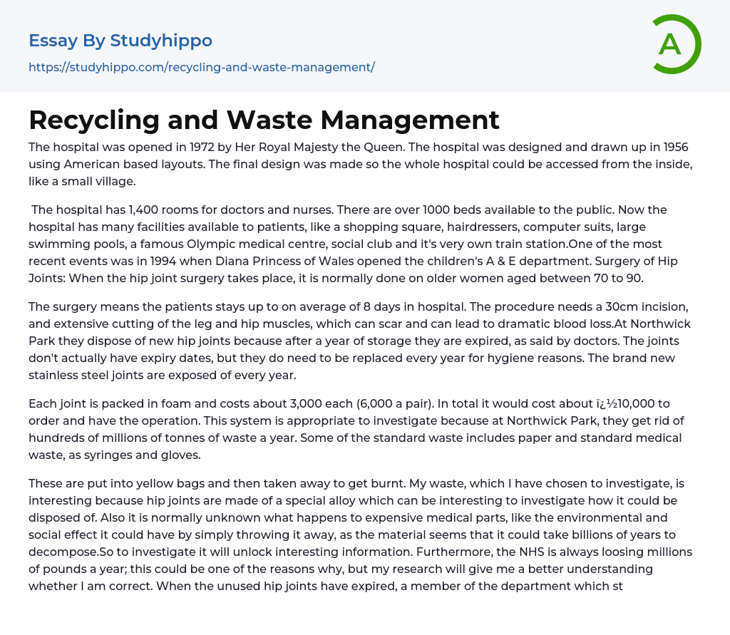 Recycling and Waste Management Essay Example