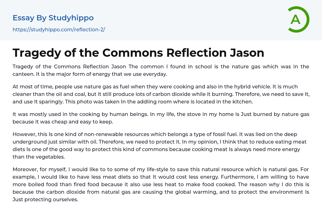 Tragedy of the Commons Reflection Jason Essay Example