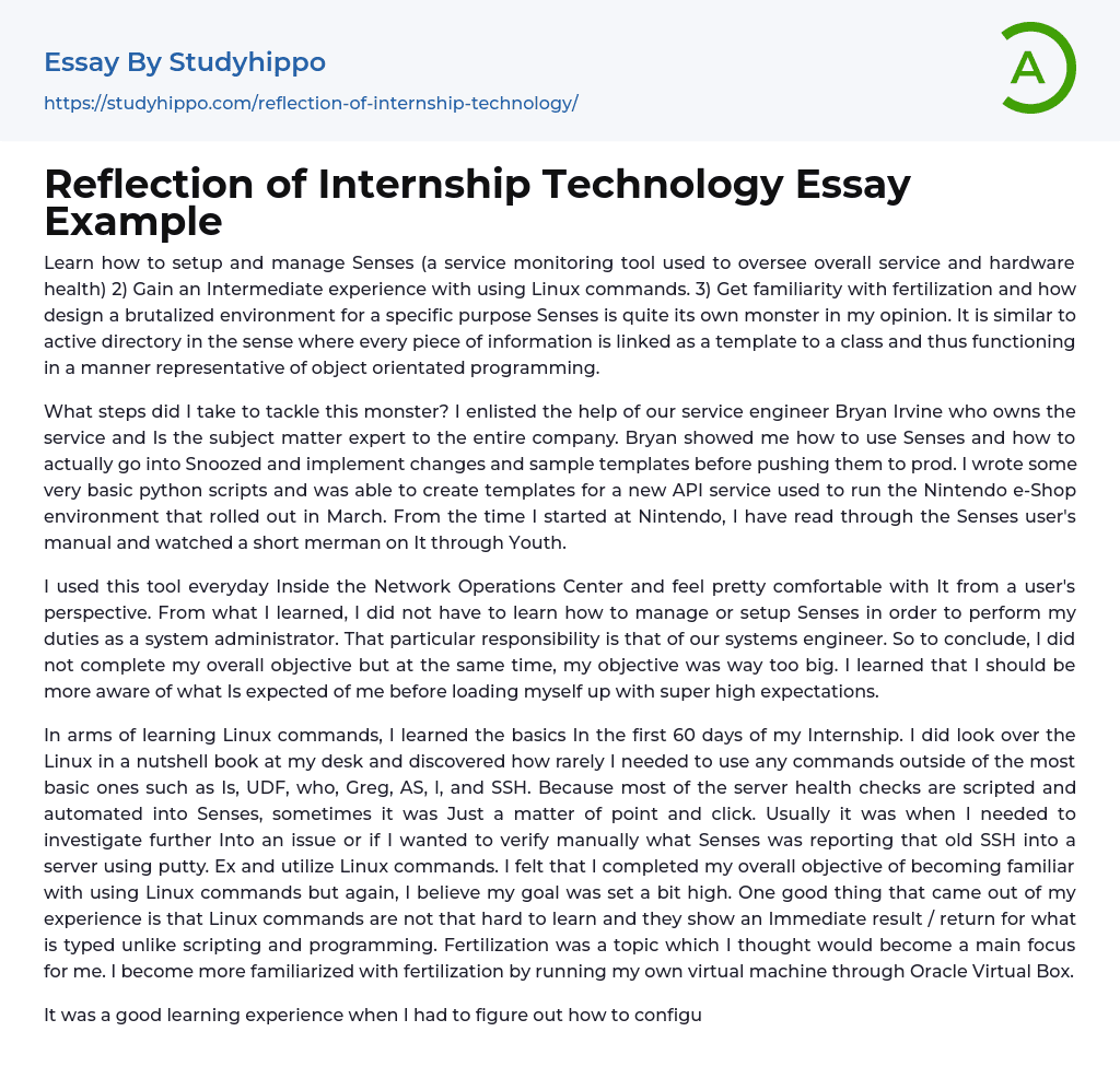 Reflection of Internship Technology Essay Example
