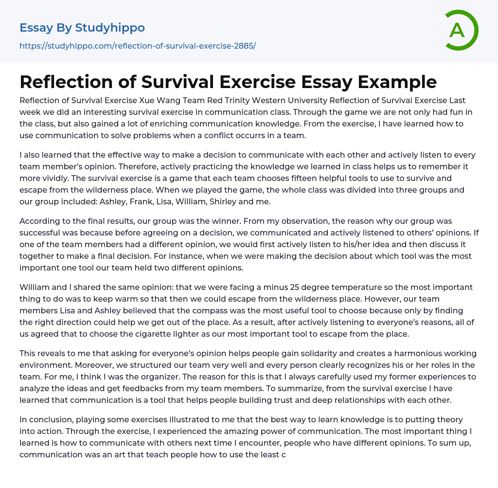 Reflection of Survival Exercise Essay Example