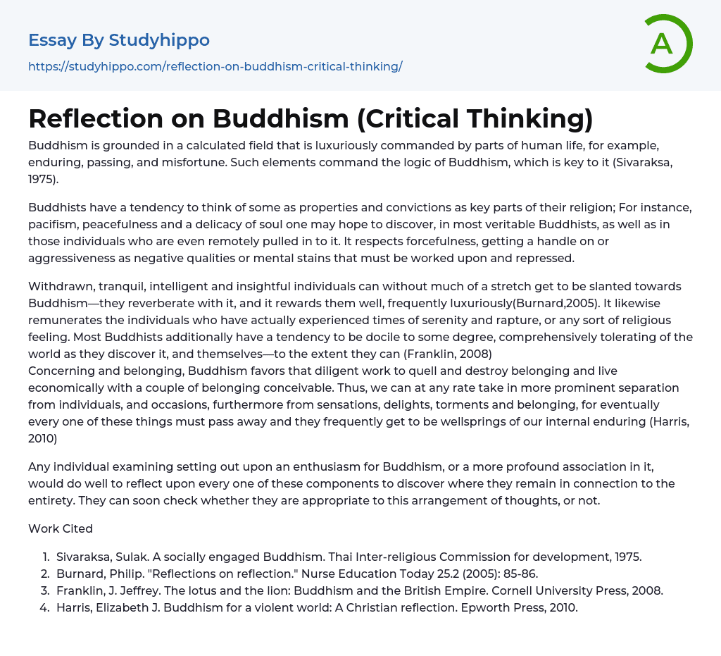 Reflection on Buddhism (Critical Thinking) Essay Example
