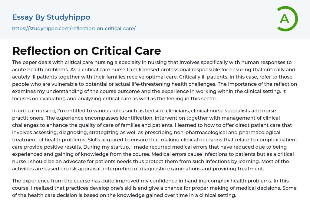 Reflection on Critical Care Essay Example