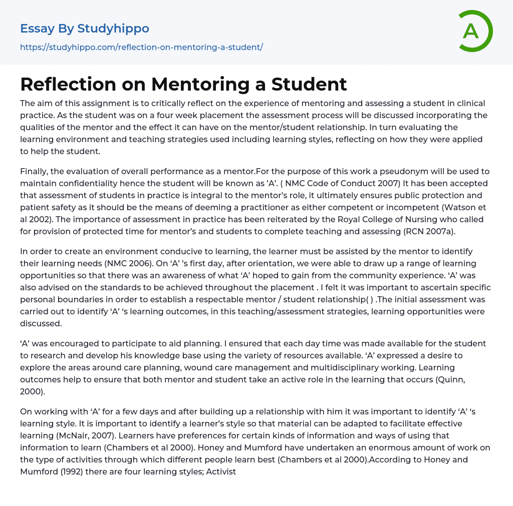 Reflection on Mentoring a Student Essay Example