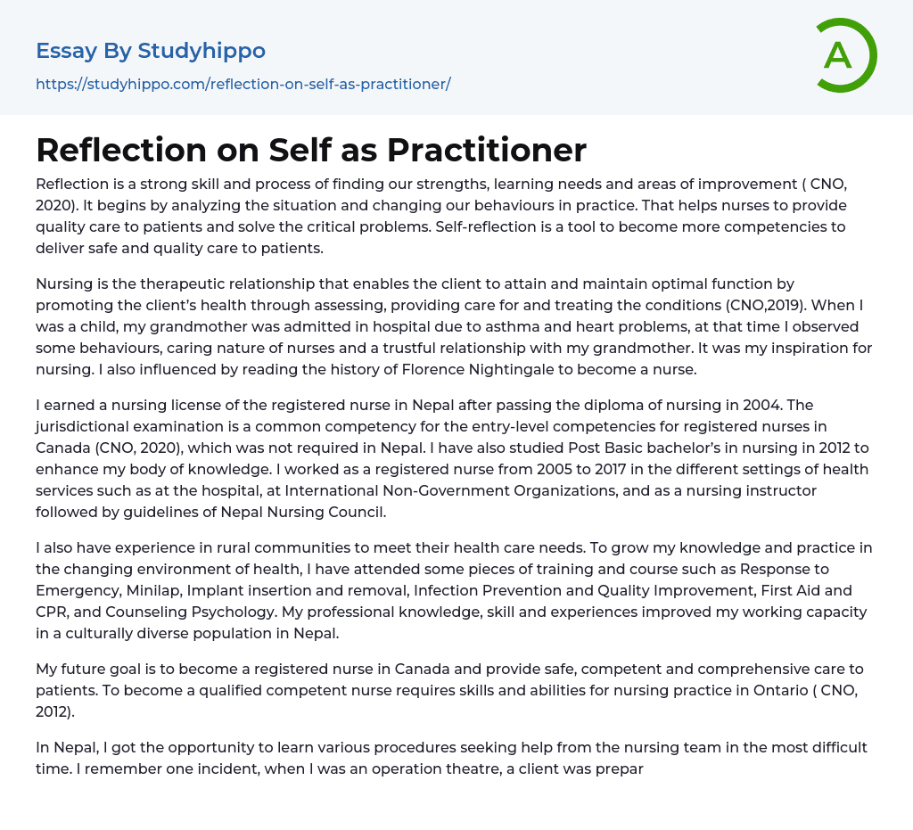 Reflection on Self as Practitioner Essay Example