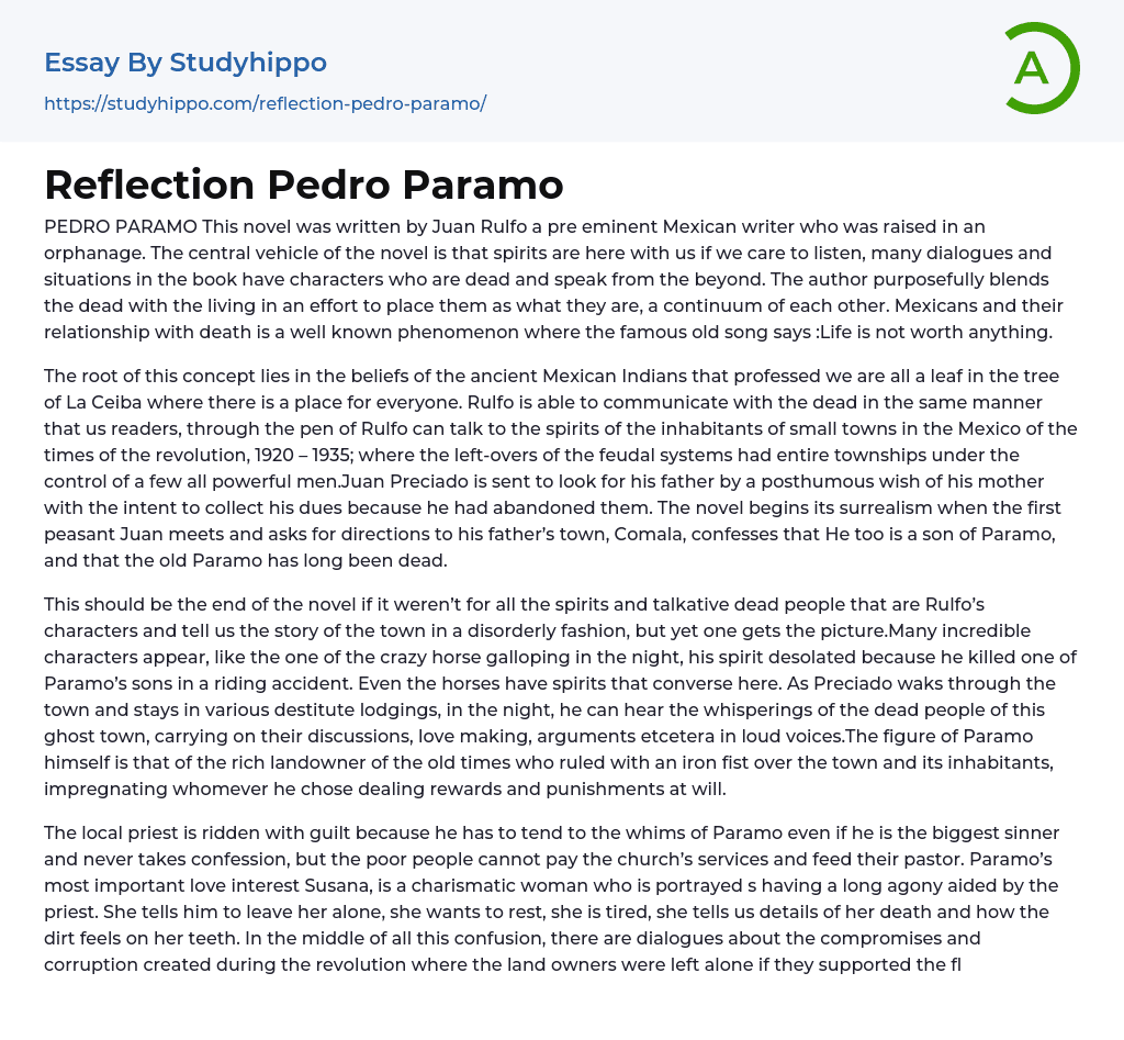 Reflection Pedro Paramo Essay Example