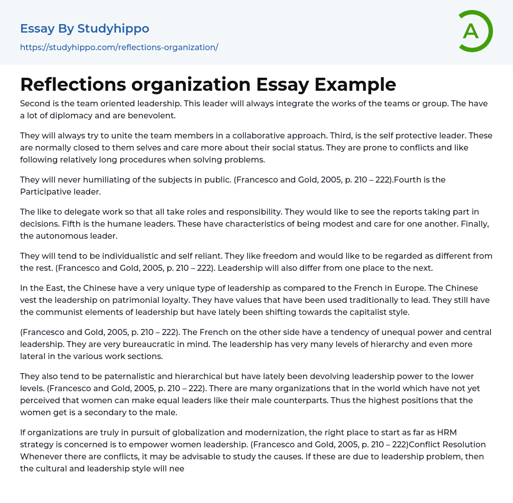 Reflections organization Essay Example
