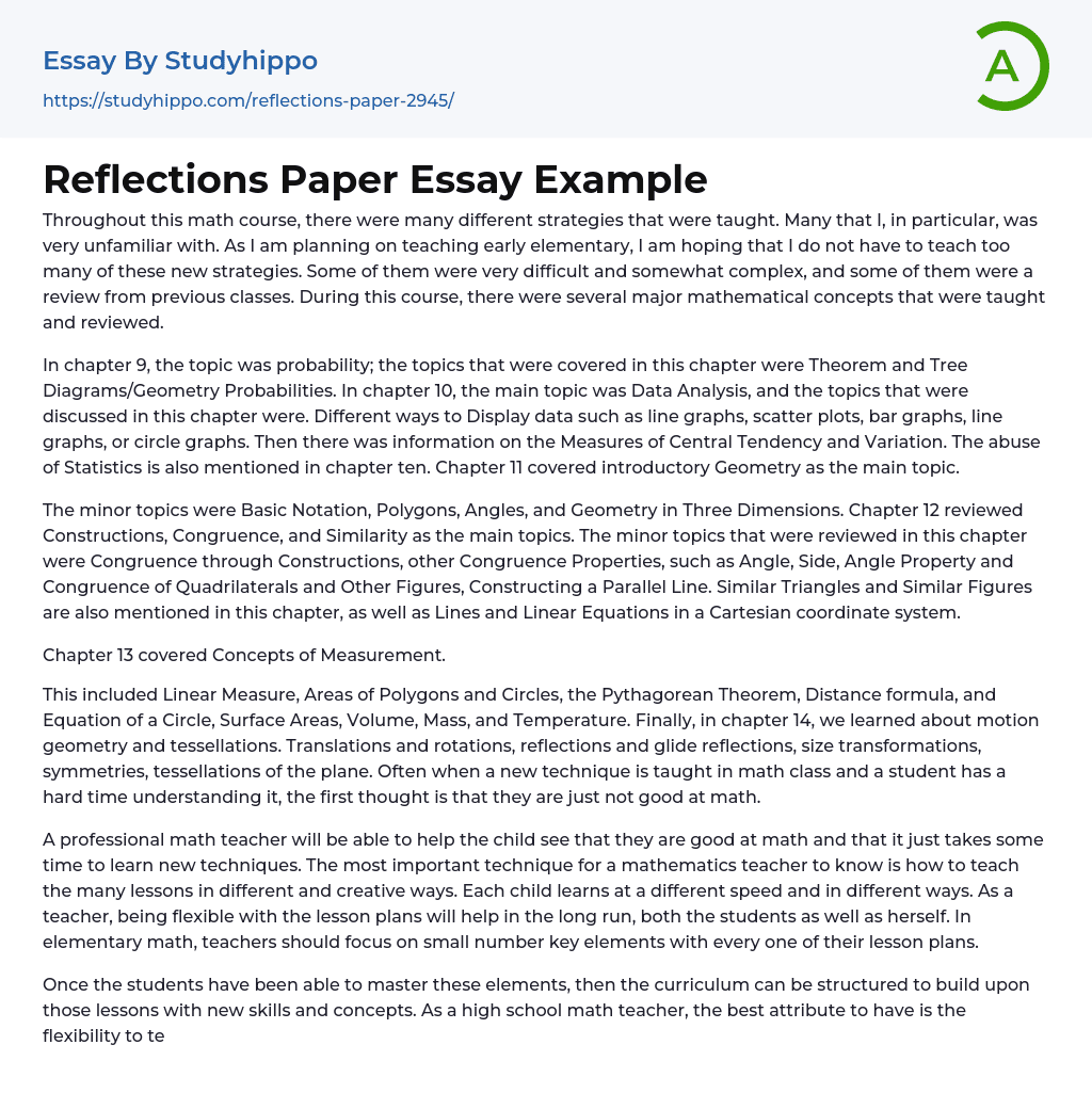 Reflections Paper Essay Example