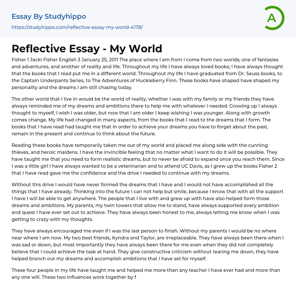 Reflective Essay – My World