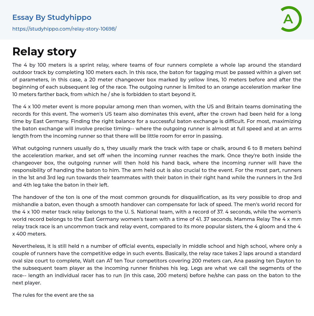 Relay story Essay Example