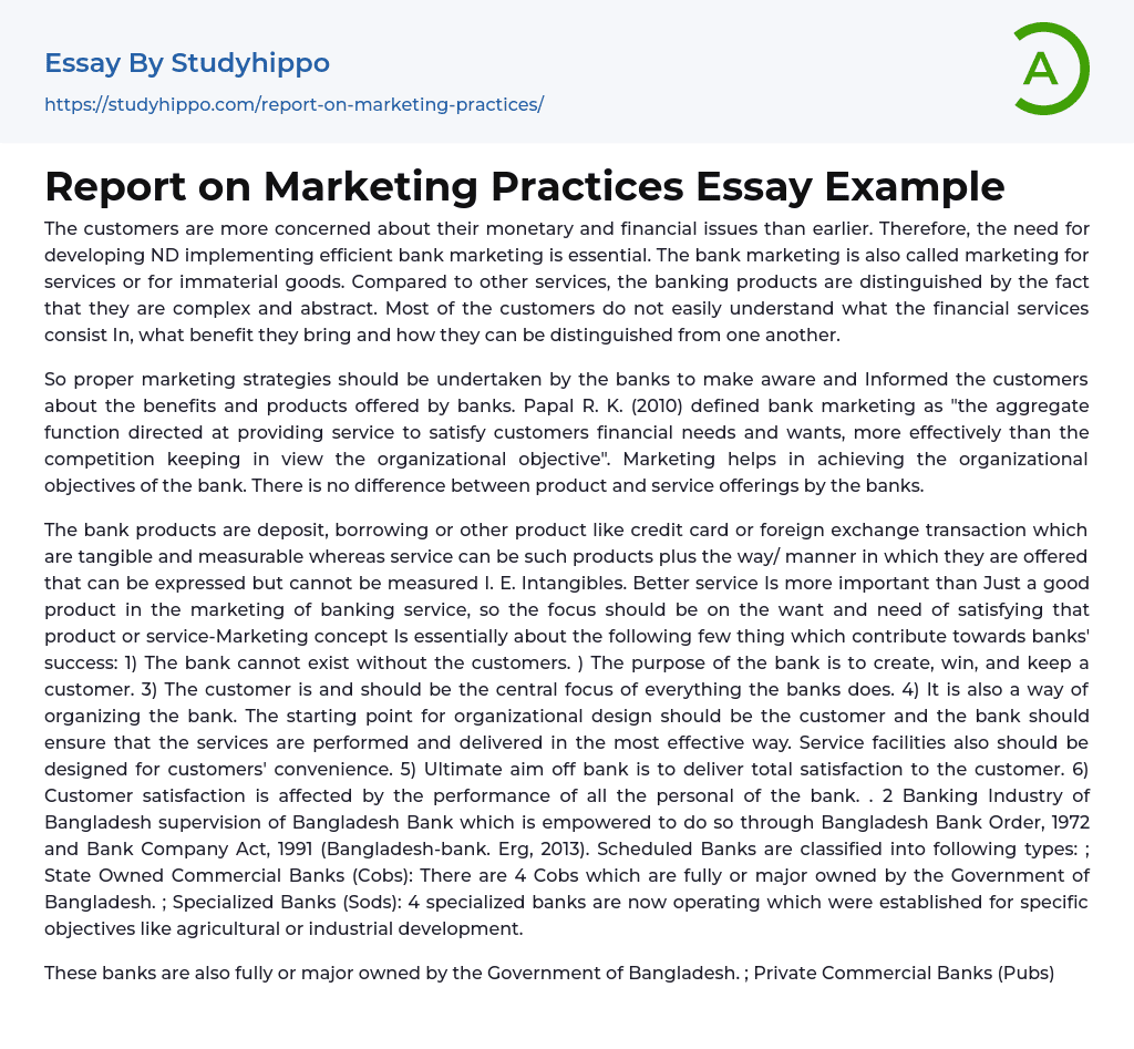 Report on Marketing Practices Essay Example